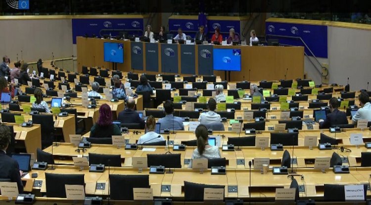 The migrant pushbacks in Greece were discussed at the EP Committee on Civil Liberties, Justice, and Home Affairs