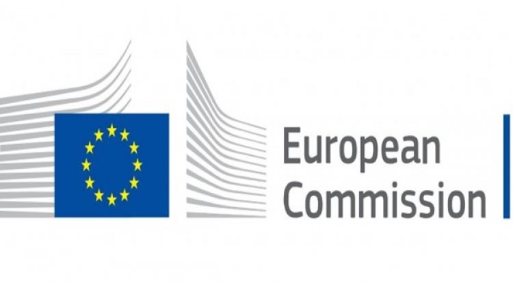Written contribution from ABTTF to the 2024 Rule of Law Report of the European Commission
