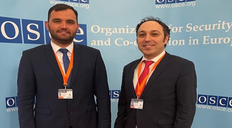 Western Thrace Turkish delegation at the OSCE Supplementary Human Dimension Meeting