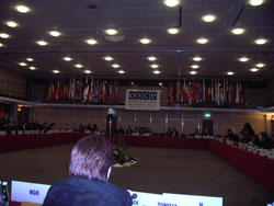 ABTTF conveyed the problems of Turkish Minority in OSCE Meetings 