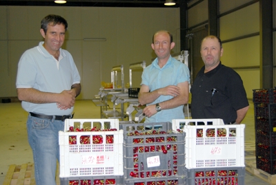 SUSURKÖY BELEDİYESİ 9.KİRAZ FESTİVALİNE HAZIR