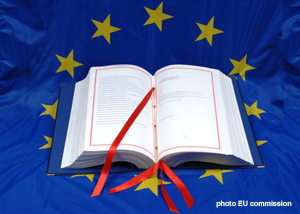 The Lisbon Treaty comes into effect and the new EU Commission has been announced – what does it mean for the minorities of Europe?