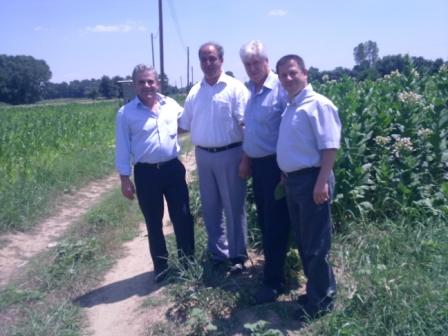 İskeçe Milletvekili Çetin Mandacı İskeçe bölgesindeki tütünlerdeki zarar ziyana dikkat çekti. 