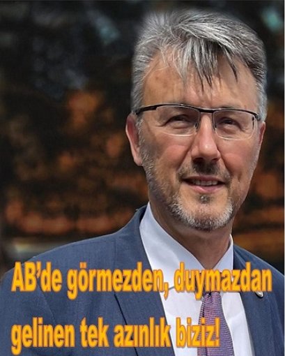 AB’de görmezden, duymazdan gelinen tek azınlık biziz!