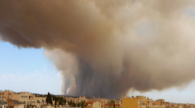 Wildfires in Alexandroupoli, we wish a speedy recovery to our region!  