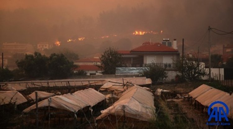 Bir olalım, birlik olalım, yaralarımızı birlikte saralım!