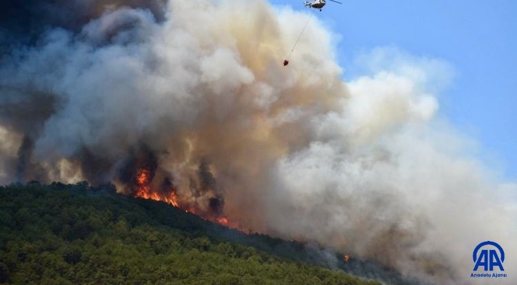 Eskişehir’deki orman yangınında 10 orman işçisi şehit oldu